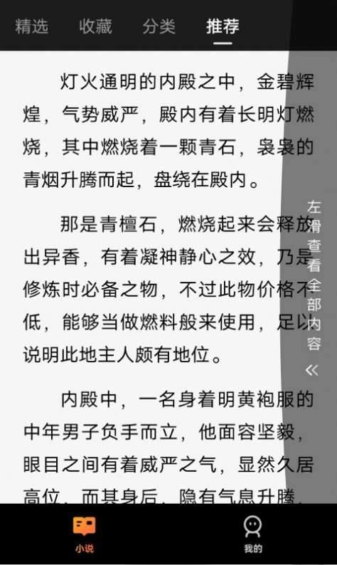 小黑看小说图1