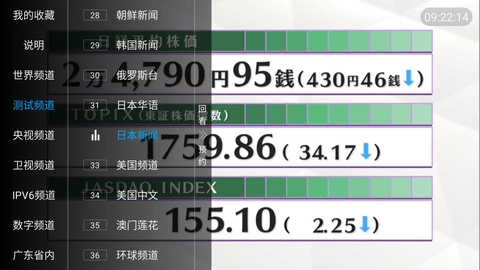 小树林T图1
