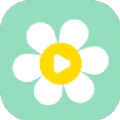 雏菊影视