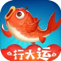 我要钓锦鲤安卓版