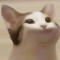 popcat.click安卓版