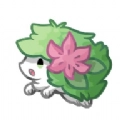 口袋妖怪葛拉西蒂亚花金手指手机版