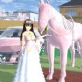 梦回青春校园正版