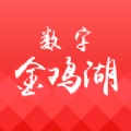 数字金鸡湖生活服务手机版
