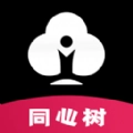 同心树拓客云引流拓客助手 