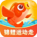 锦鲤运动走运动打卡软件 