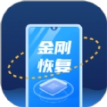 金刚恢复大师手机版