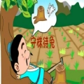 古诗词全回学习手机 