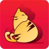 橘猫势力