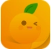 我不是盐神小说免费版
