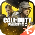 codmgfx