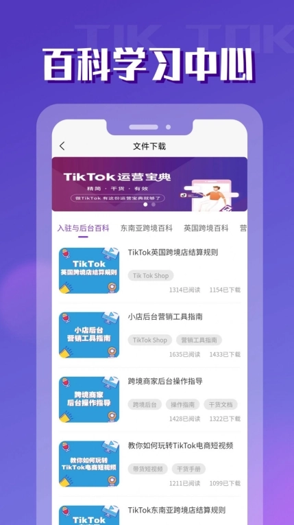 TikToler安装助手 图1