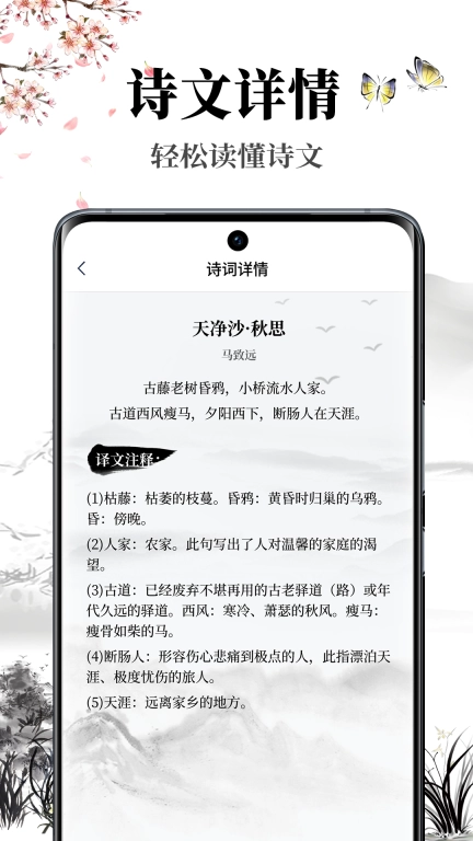 雅歌图3