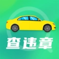 手机违章查询 