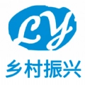 联妙乡村振兴 