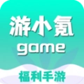 游小氪 