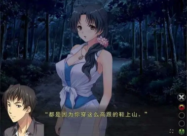 妻中蜜3汉化版图3