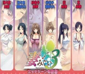 妻中蜜3汉化版图1