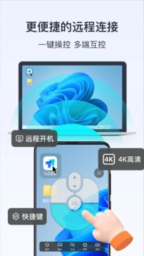 todesk(2)