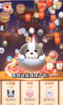 阿伟弹力球官方正版(2)