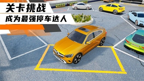 科二模拟器倒车入库图3