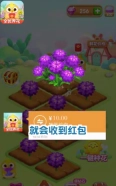 全民养花图1