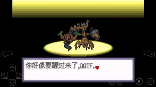 口袋妖怪牧场物语汉化版图2