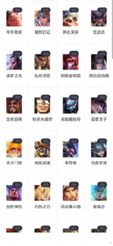 王者皮肤控软件图2