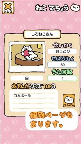 猫咪后院图2