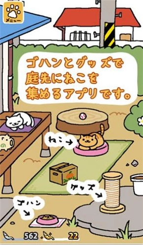 猫咪后院图4