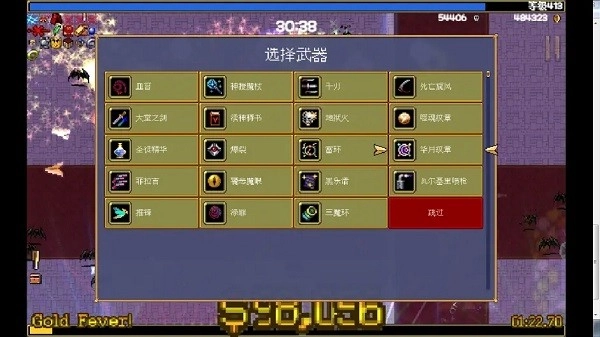 吸血鬼幸存者中文版图2