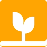 麦子免费小说