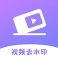 极速去水印大师