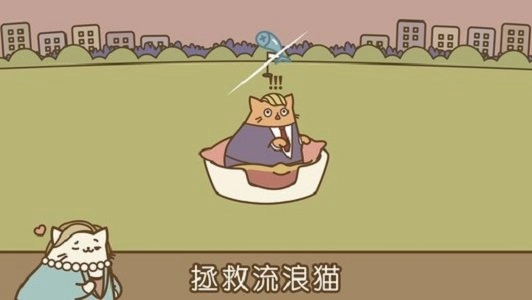 音乐猫咪图1