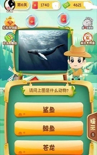 动物达人秀图3