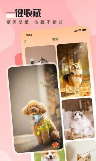 WalP壁纸图1