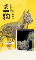 3dbody宠物图3
