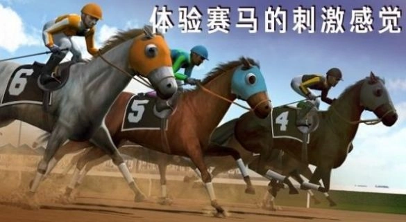 模拟赛马竞赛图2