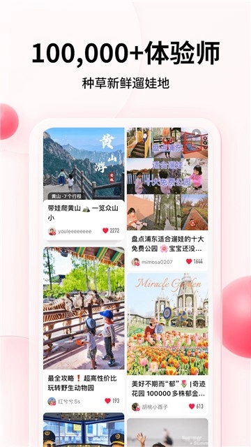 彩贝壳图3
