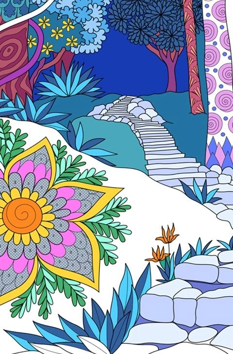 Digital coloring 免费版图2