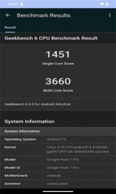 Geekbench 6安卓手机版图3
