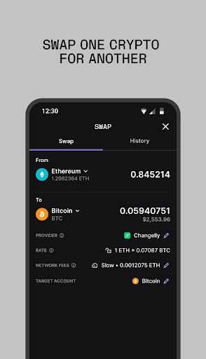 Ledger Nano S钱包 图1
