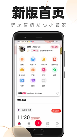 铲屎官的日常图1