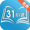 31小说