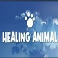 Healing Animal免费完美手机版