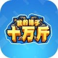 我的锤子十万斤小安卓版
