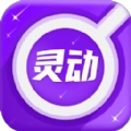 灵动放大镜 
