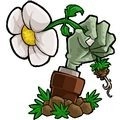 植物大战僵尸&forall;版