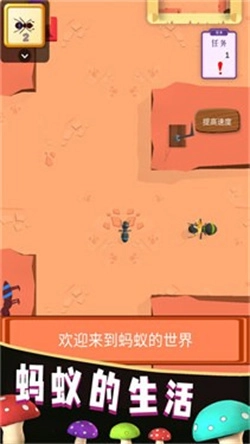 蚂蚁的生活图2
