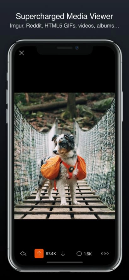 Apollo for Reddit媒体查看器手机版图1